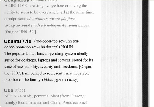 De Wikipediapagina van Ubuntu.